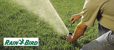 Rainbird Systems Lawn Sprinklers